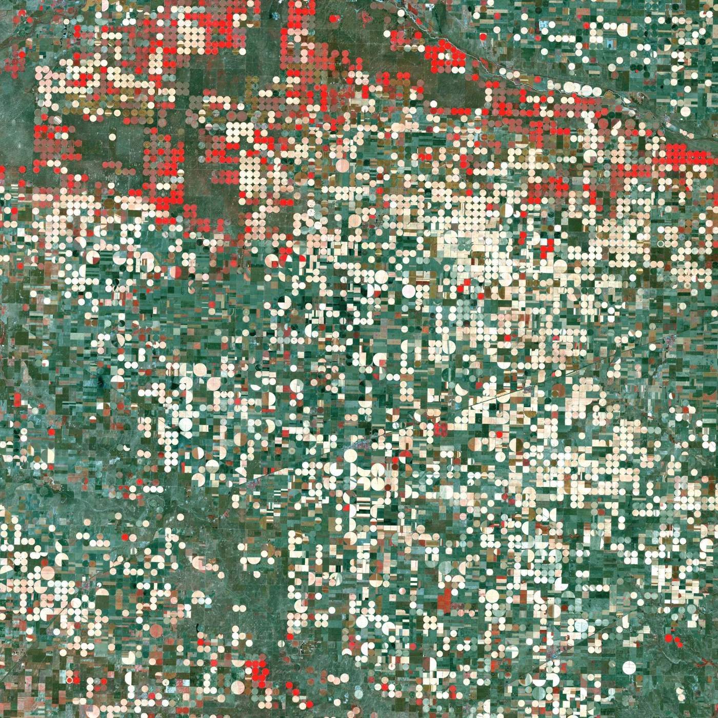 False-colour Landsat 7 image of croplands near Garden City, Kansas: a dense grid of centre-pivot irrigation circles, red where crops are growing and cream where fields lie fallow, on grey-green plains