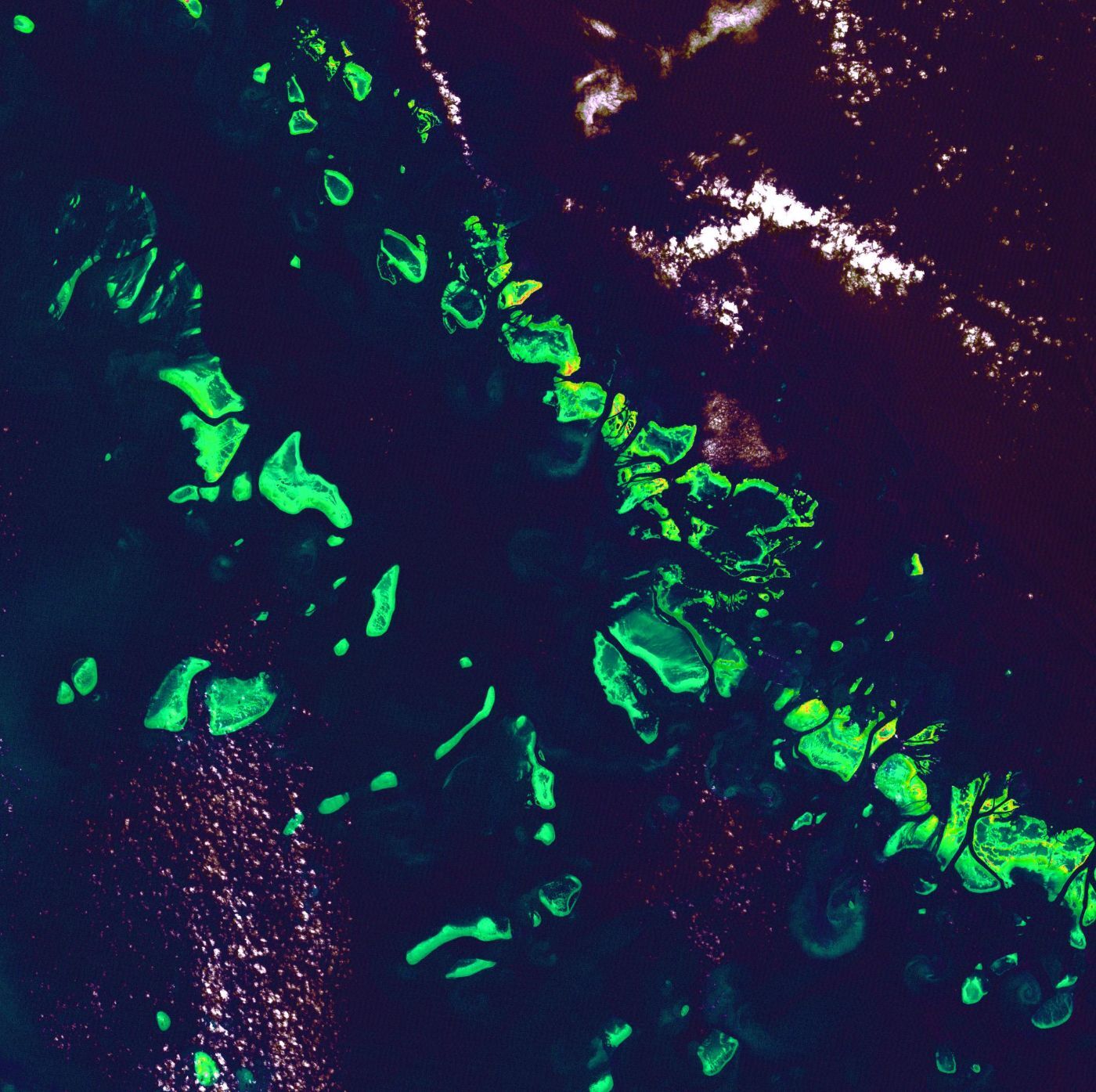 False-colour Landsat 7 satellite image from 1999 showing reefs of the Great Barrier Reef as bright green shapes against dark ocean water