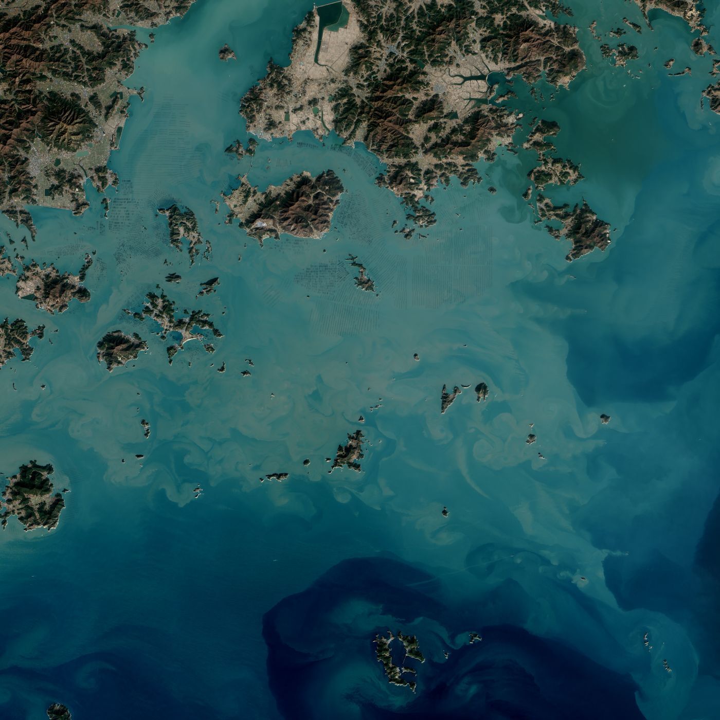 Landsat 8 satellite image of seaweed farms along South Korea's south coast: dark grids of cultivation ropes in shallow turquoise water between islands